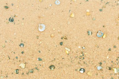 kum plaj doku üzerinde