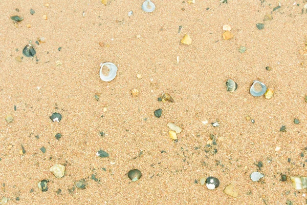 Piasek na plaży tekstura — Zdjęcie stockowe