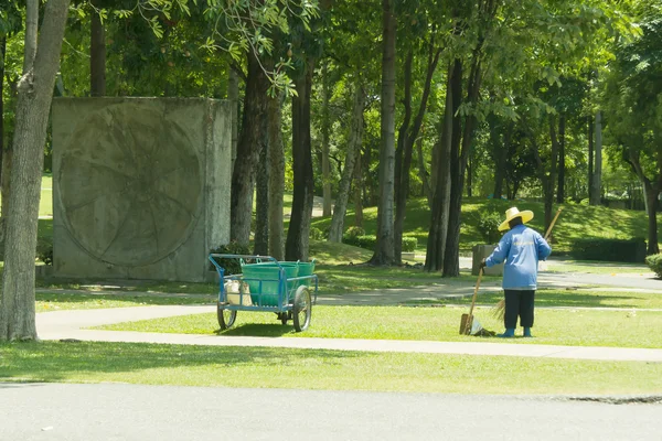 Mujer barriendo licencia en el césped en el jardín Imagen de archivo