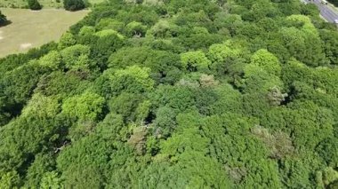 Wythenshawe Parkı 'nın kıyısındaki yapraklı ağaçların üzerinden Manchester yakınlarındaki M56 otoyoluna uçuyor..
