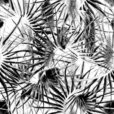 Tropik Yaprak. Siyah Beyaz Modern Motif.