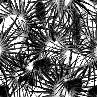 Tropik Yaprak. Siyah Beyaz Modern Motif.