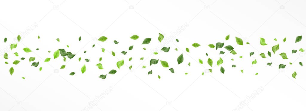 Lime Leaves Falling Vector Panoramic White 