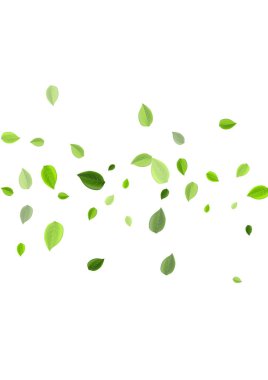 Çimen Yaprakları Düşen Vektör Tasarımı. Bitkisel 