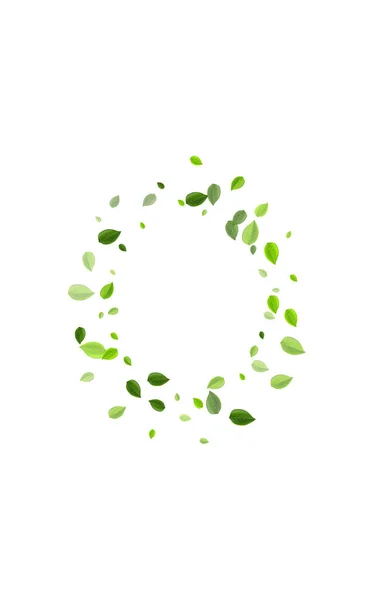 Mint Leaves Ecology Vector Concept. Tourbillon Verts — Image vectorielle