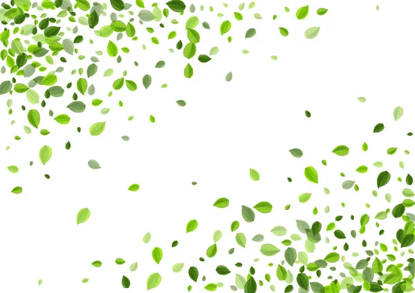Травяные листья травяные векторные концепции. Fly Greens — стоковый вектор