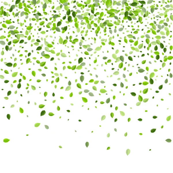 Grassy Leaf Forest Vector Concept. Verts en chute libre — Image vectorielle