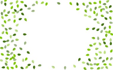 Orman Yaprakları Gerçekçi Vektör Arkaplanı. 