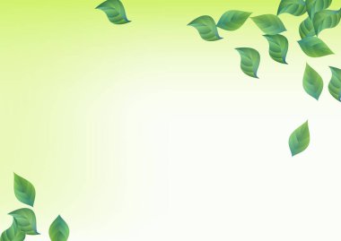 Orman Yaprağı Düşen Vektör Yeşil Arkaplan 