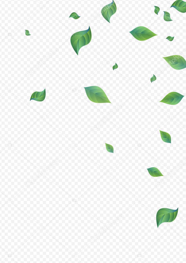 Green Foliage Fresh Vector Transparent Background 