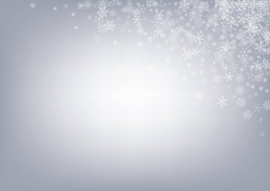 Gümüş Kar Yağışı Vektörü Gri Arkaplan. Sihir 