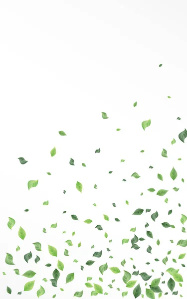 Grassy bladeren Ecologie Vector Witte achtergrond — Stockvector