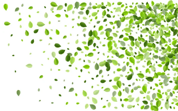 Lime Leaves Organic Vector Wallpaper. Bylinný — Stockový vektor