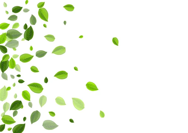 Olive Leaf Ecology Vector Design. Motion Verts — Image vectorielle