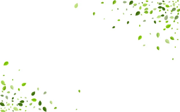 Verts marécageux tombant vecteur Design. Feuille de forêt — Image vectorielle