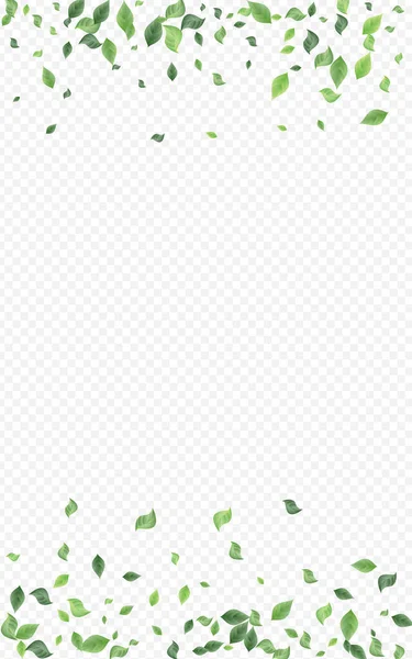 Green Leaf Fly Vector transparante achtergrond — Stockvector