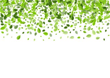 Çimenli Yaprak Doğa Vektörü Tasarımı. Düşüyor 