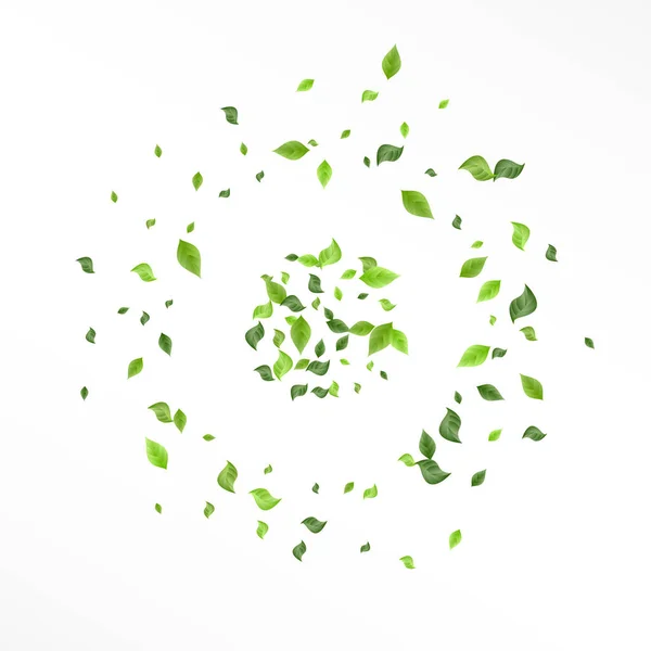 Yeşil Yapraklar Girdap Vektörü Beyaz Arkaplan — Stok Vektör
