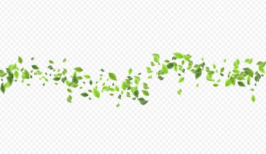 Naneli Yeşillik Düşen Vektör Şeffaf 