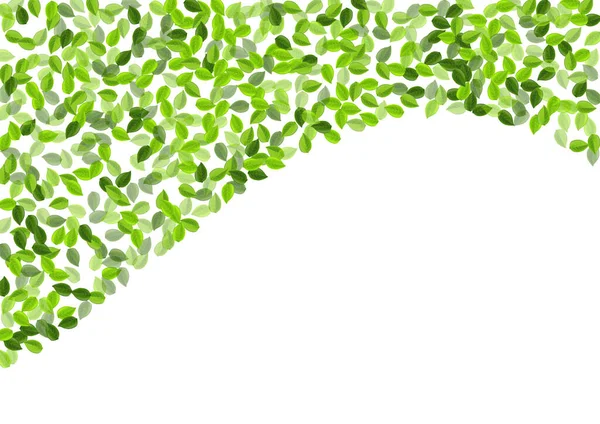 Mint Leaves Spring Vector Border. Fresh Foliage — Stock Vector