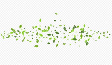 Yeşil Yaprak Düşen Vektör Şeffaf Arkaplan 