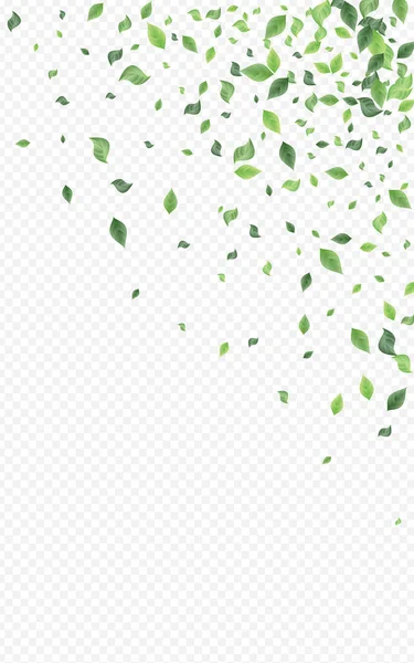 Forest Leaf Tea Vector Transparant Achtergrondillustratie Swirl Greenery Border Groene — Stockfoto