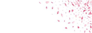 Mor Lotus Petal Vektör Panoramik Arkaplan. Şeffaf Japon Çiçek Yaprağı Çerçevesi. Rose Petal 3d Şablonu. Taze Sakura Petal dokusu.