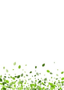 Bataklık Yeşilleri Ağaç Vektör Sancağı. Gerçekçi Yaprak Bitkisi. Yeşil Yaprak Doğa Şubesi. Yapraklar Rüzgar Duvar Kağıdı.