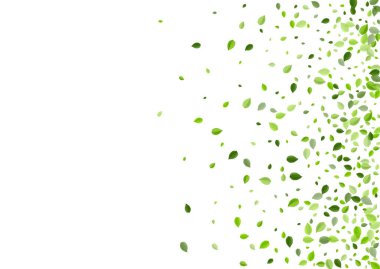 Swamp Foliage Realistic Vector Design. Swirl Leaf Wallpaper. Olive Greens Forest Illustration. Leaves Motion Border.