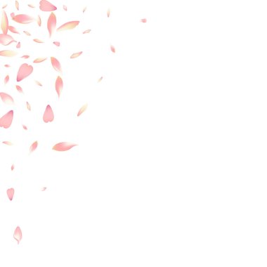 Pembe Lotus Petal Vektör Beyaz Arkaplan. Beyaz Hava Çiçeği Taç Posteri. Sakura Yaprak Parlatıcı Kartı. Uç Kiraz Yaprağı Ürünleri.