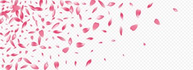 Beyaz Çiçekli Vektör Panoramik Şeffaf Arkaplan. Çiçek Gerçekçi Düzen. Bloom Sky Kart. Rosa Anne Banner. Mor Ağaç Rüzgarı Çizimi.