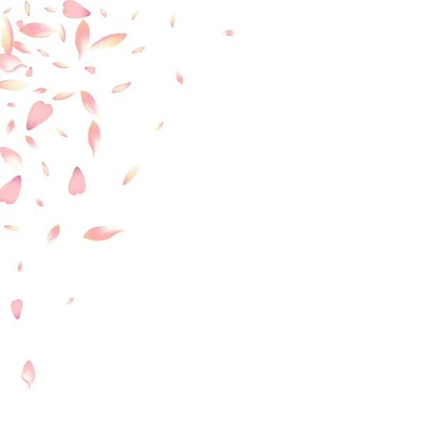 Рожевий Пелюсток Лотоса Векторний Білий Фон Білий Повітря Квітка Пелюстка — стокове фото