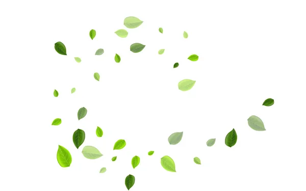 Lime Greens Falling Vector Sablon Tealevél Poszter Zöld Lombozat Realisztikus — Stock Fotó