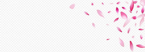 Light Flower Vector Panorama Transparenter Hintergrund Kirsche Grafikkarte Blatt Muster — Stockfoto