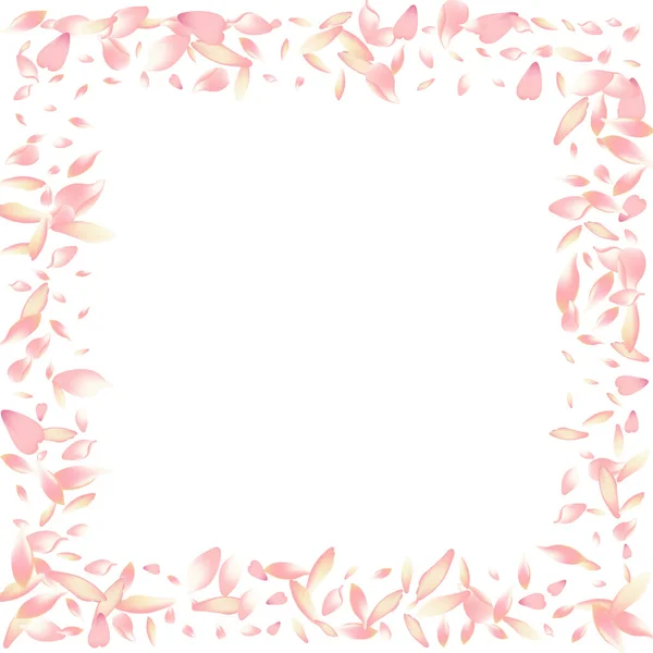 Pétalo Flor Blanca Vector Fondo Blanco Pink Valentine Rose Petal — Foto de Stock