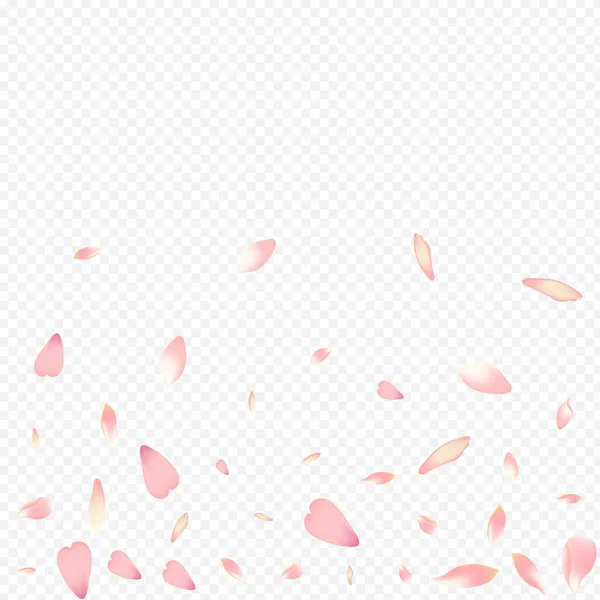 Χρώμα Ροδάκινο Διάνυσμα Διαφανές Φόντο Εικονογράφηση Γάμου Δέντρο Ρόζα Free — Φωτογραφία Αρχείου