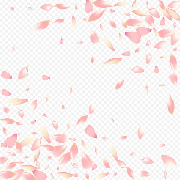 Roxo Rosa Vector Fundo Transparente Flor Sonho Cartaz Cherry Isolated — Fotografia de Stock