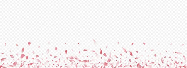 Bright Leaf Vector Panorama Transparenter Hintergrund Blühende Japanische Textur Blühende — Stockfoto