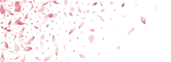 Пурпуровий Яблучний Пелюсток Векторний Панорамний Фон Рожева Романтична Пелюстка Lotus — стокове фото