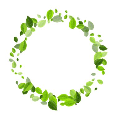 Forest Leaves Realistik Vektör Illustration. Organik Yaprak Fabrikası. Bataklık Yaprağı Soyut Sınırı. Yeşiller Bahar Broşürü.