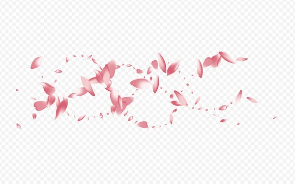 White Bloom Vector Transparenter Hintergrund Herz Beauty Karte Blooming Rain — Stockfoto