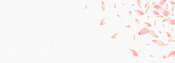 Вектор Розового Цветения Заднем Плане Поздравление Падением Листьев Материнская Текстура — стоковое фото