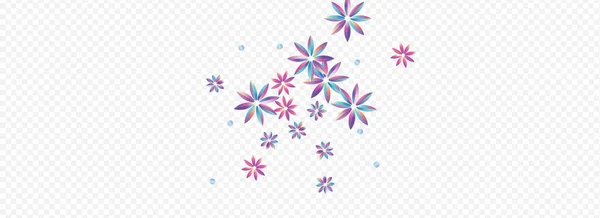 Χρώμα Petal Luxury Transparent Panoramic Φόντο Στεγανή Αφίσα Λουλουδιών Καλοκαιρινό — Φωτογραφία Αρχείου