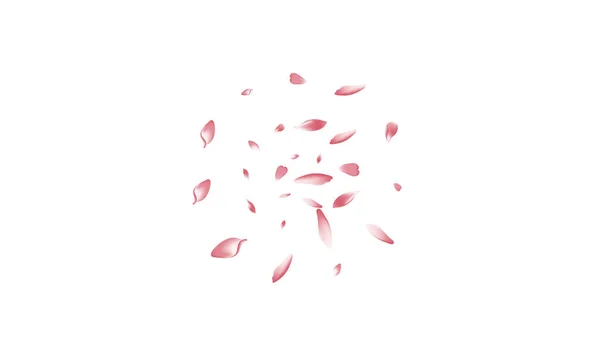 Färg Persika Petal Vector Vit Bakgrund Rosa Vårens Sakura Petal — Stockfoto