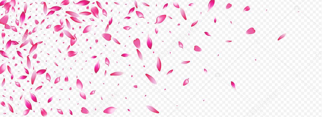 Red Peach Vector Panoramic Transparent Background. Apple 3d Backdrop. Confetti Japanese Pattern. Rose Valentine Poster. Color Floral Wallpaper Template.