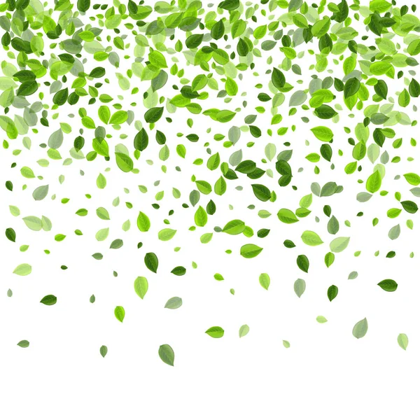 Forest Greens Herbal Vector Fond Écran Forest Leaf Pattern Affiche — Photo