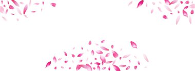 Beyaz Lotus Petal Vektör Beyaz Arkaplan. Şeffaf Uçan Şeftali Yaprağı dokusu. Gül yaprağı yaz posteri. Elma Yaprak Kartı Uçur.