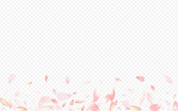Light Peach Vector Sfondo Trasparente Rosa Invito Pattern Coprimosca Floreale — Foto Stock