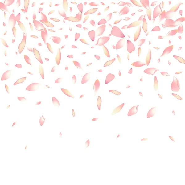 Pétalo Rosa Púrpura Vector Fondo Blanco Rosa Suave Pétalo Loto — Foto de Stock