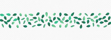 Grassy Yeşiller Taze Vektör Panoramik Şeffaf Arkaplan Duvar Kağıdı. Bahar Yaprağı Şablonu. Olive Leaves Wind Branch 'ta. Yaprak Ormanı Broşürü.